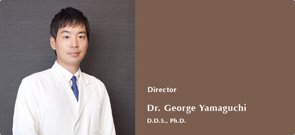 Director/Dr.George Yamaguchi/D.D.S., Ph.D.